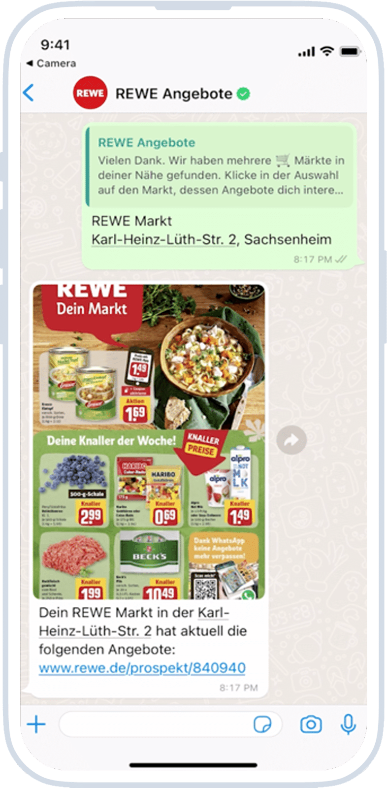 WhatsApp Newsletter Software & Marketing Automation Solution WhatsApp Marketing Automation
